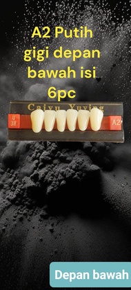 Gigi Palsu Bagian Depan Atas Dan Bawah Warna Putih A2