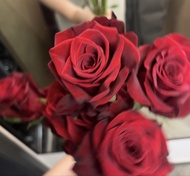 紅色厄瓜多爾玫瑰花束