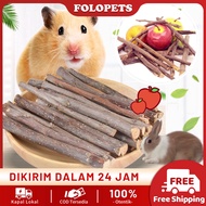 FOLOPETS 50g Hamster GIGITAN HAMSTER APEL - APPLE ORCHAD STICK KELINCI TUPAI