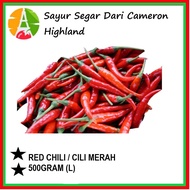 RED CHILI / CILI MERAH (500GRAM) SAYUR SEGAR DARI CAMERON HIGHLAND - (GRED A) - FRESH FROM FARM - NE