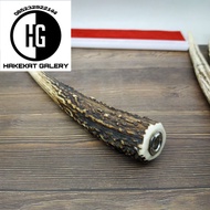 ONCE CANGKLONG TANDUK RUSA ASLI RD94