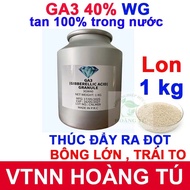 GA3 Foliar Fertilizer 40% NICE FORM Stimulates Plant Growth