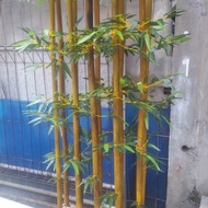 bambu hias daun plastik - bambu kuning