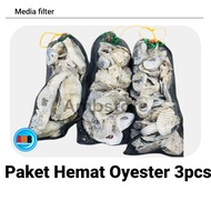 Oyster package plus waring 1kg 3 pcs oyster/ plus waring oyster/ koi filter media/ fish pond filter 