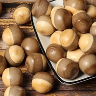 Japanese Blister Biscuits Snacks Breakfast Japanese Style Blister Biscuits Snacks Breakfast 7.19