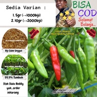 he- Benih/Bibit Cabe Rawit Hijau Lokal 5gr &amp; 10gr isi (-+1000 &amp;