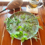 薰衣草花茶包-農園4種純淨香草-甜薰衣草+馬鬱蘭+綠薄荷+甜菊