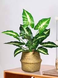 Cây Monstera nhân tạo cao 43cm, cành cây cọ nhựa nhiệt đới giả, lá Alocasia thật, dùng cho'sân vườn,