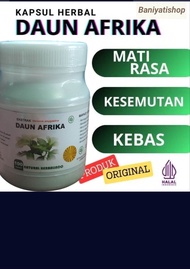 herbal daun afrika 100 kapsul stroke hypertensi kebas kesemutan