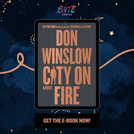 City on Fire (Danny Ryan 1) (Don Winslow)