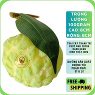 Decorative fruit, decorative fruit 1 custard apple - display