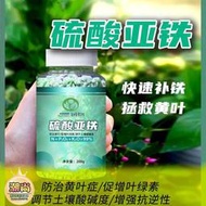 【樂樂屋】硫酸亞鐵調節土壤酸堿度防黃葉全植物通用型