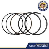 PISTON Ring (2MM) GX 270