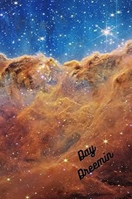 Day Dreemin: Field notes pocket notebook journal