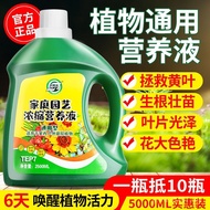 Fortune Tree Flower Culture Fertilizer Camping Green Dill Universal Flower Fertilizer Flower Hydropo