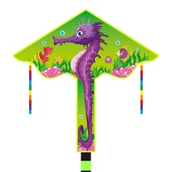 Kite Square Children Adult Cartoon 25.11.29