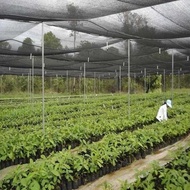 Jaring Paranet 50% ( 1 Roll ) Panjang 100 Meter