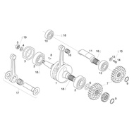 Aprilia RS4 125 Crank Shaft