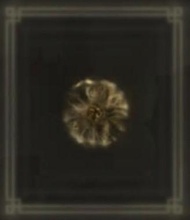 最平 艾爾登法環 出售盧思 (Elden Ring) Ps4/ps5