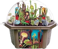 TOYS BY NATURE Venus Fly Trap - Complete Kids Terrarium Greenhouse Kit - Carnivorous Plant Grow Kit 