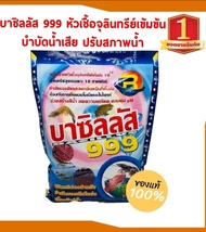 บาซิลลัส 999 (Bacillus 999 เป็นหัวเชื้อจุลินทรีย์ชนิดผงเข้มข้น ขายยกโหล