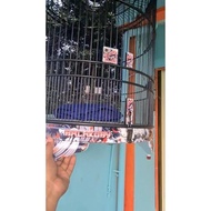 sangkar murai kuby pvc decal no 1 dm 60cm