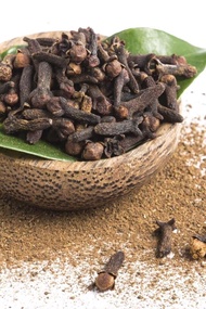Anak pokok cengkih (cloves)