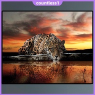 Painting By Numbers Kit DIY Lonely Leopard Canvas Oil Art Picture for Home Decor [countless1.sg]
