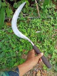 Arit Sabit Rumput Madura super tajam - Arit Tebas Ranting - tebu - Arit Baja Super