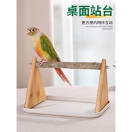 Parrot training stand, perch stand, small perch stand, bird feeding stand, desktop perch stand, wood