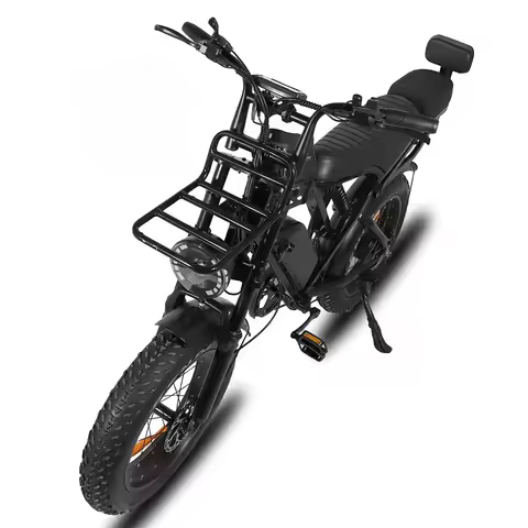 X80 PRO Electr Bicycle X80 250W Ebike FAST Super Bicycle Ebike Mtb E Bike Vintage Elektrische Fiets 