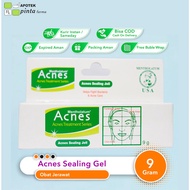 Acnes Sealing Jell 9 grams