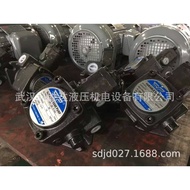SHENYU30VP-20F VP1-20-70Genuine Oil Pump A3VP-15/40F variable  Hydraulic Vane Pump ZHT0