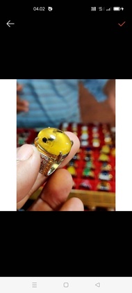 cincin getah katilayu kuning semut hitam cincin pria