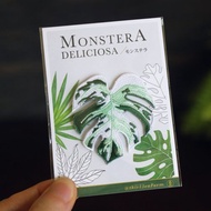 新白斑龜背芋-刺繡-徽章-電繡布章-別針款-人氣雨林植物