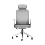 Bwell เก้าอี้เพื่อสุขภาพ รุ่น Stella สีเทา