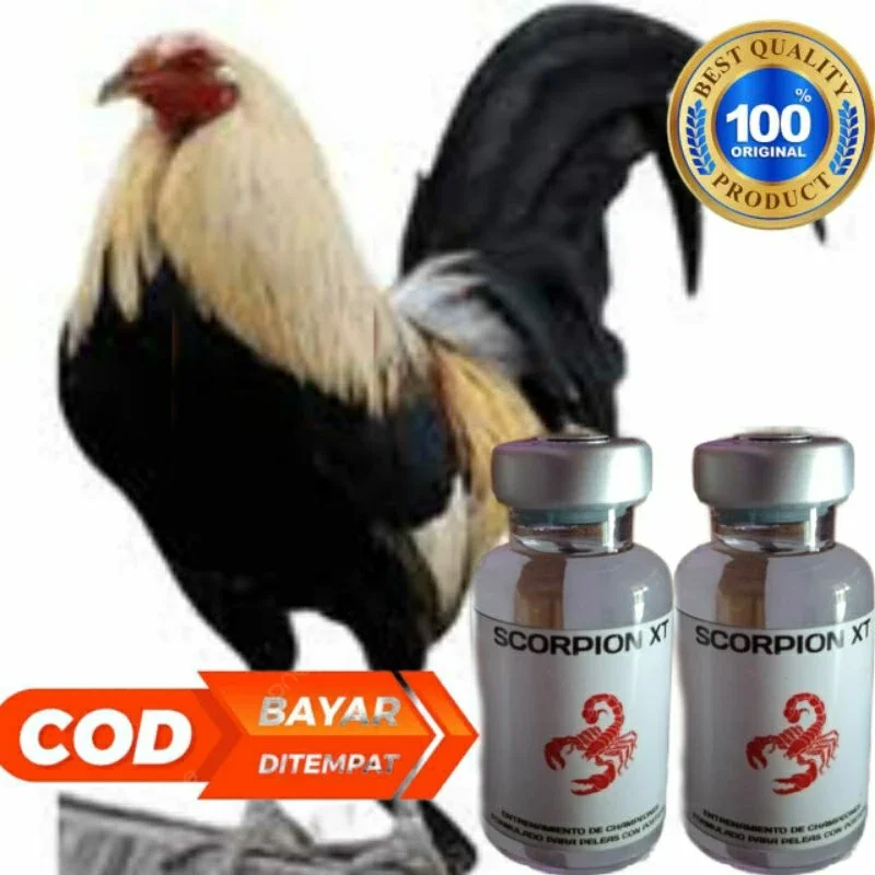 Scorpion XT Doping Ayam Aduan Philipin Suntik / Injeksi Asli Original Import