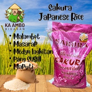 SAKURA JAPANESE RICE 25KG