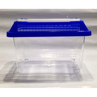 [Magic Crystal Garden Beetle] Square Breeding Pet Box (L)