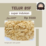 Telur Bsf/Telur Magot Bsf/Telur Lalat Bsf Paket 10 Gram