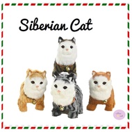 Boneka Kucing Bisa Bergerak/ Boneka Kucing Siberia/ Boneka Kucing