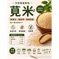 Amaranth Rice|High-Protein, Gluten-Free Grain, Rich in Dietary Fiber, Healthy Light Food First Choic