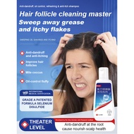 【Instant Itch Relief】Anti-Dandruff and Oil Control Shampoo Dandruff Shampoo / Oil Control Shampoo / 