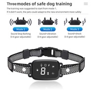 Dog Training Collar Protection