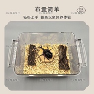 💥Hot Sale💥Beetle Breeding Box Unicorn Shovel Beetle Professional Reptile Box Pocket Worm Breathable 