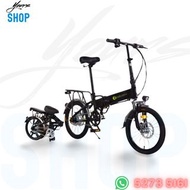 Ebike 電動單車48V 11Ah 300W Electric Bike cycle scooter