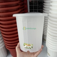 Pot Plastik Yogap Bening 15 cm 15cm Unik Transparan Bunga Tanaman Hias