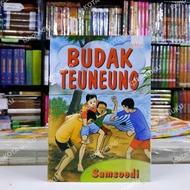 Novel Remaja Bahasa Sunda Budak Teuneung