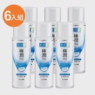 肌研 極潤保濕化妝水(清爽型) 170ml (6入組)