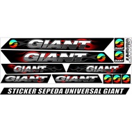 New GIANT BIKE STRIPING VARIATIONS